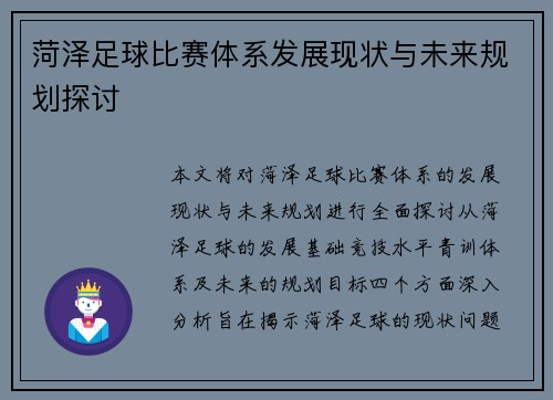 菏泽足球比赛体系发展现状与未来规划探讨